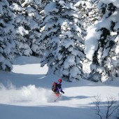 Cảnh báo khi trượt tuyết ở vùng hẻo lánh tại Nhật Bản